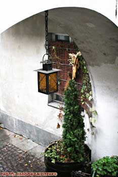IMG_ (11311)